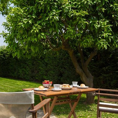 Fragos Garden Studios Kastro-Kyllini Rum bild